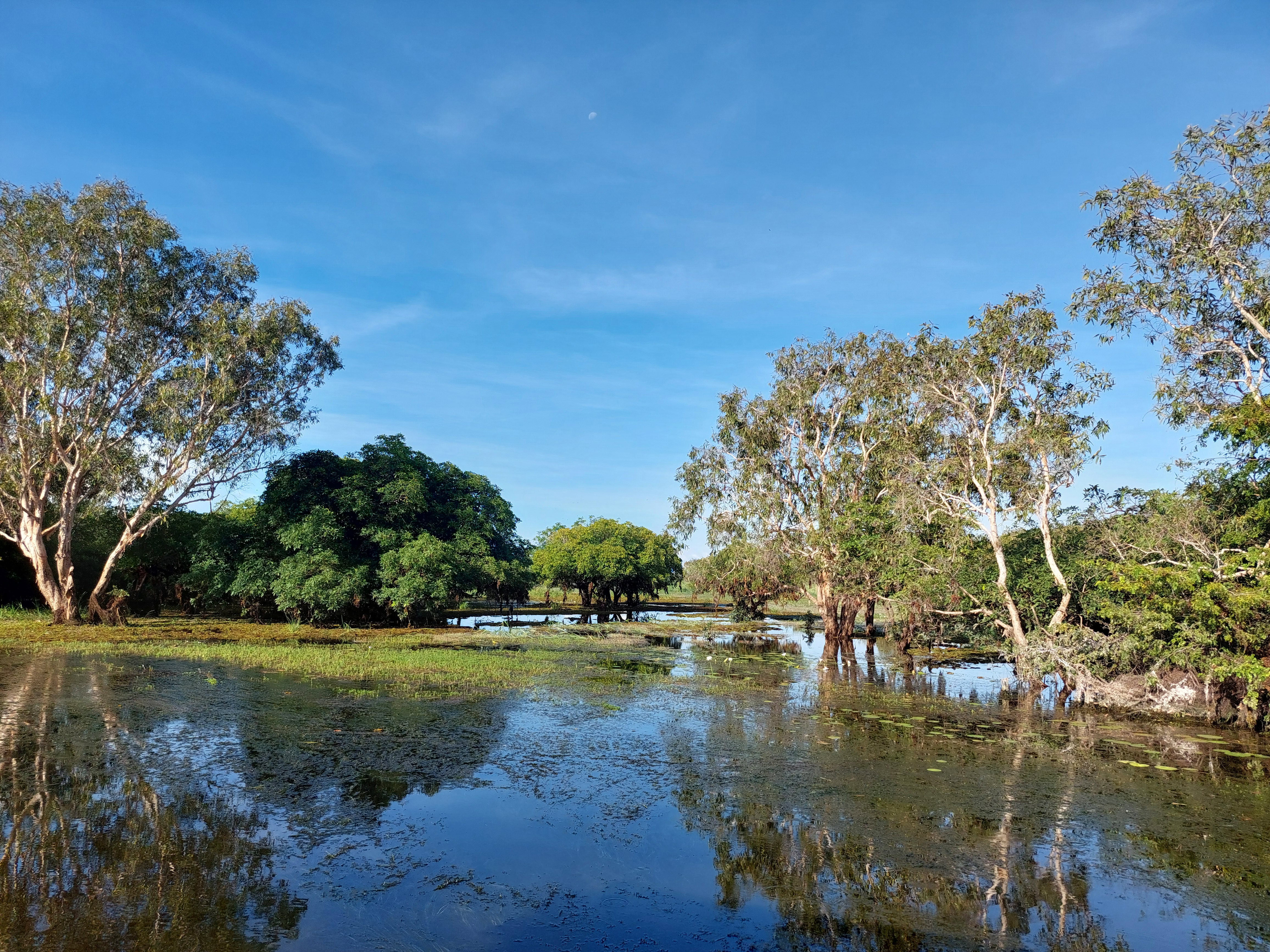 Drei Monate Kindermädchen – Meine Zeit als Aupair in Jabiru