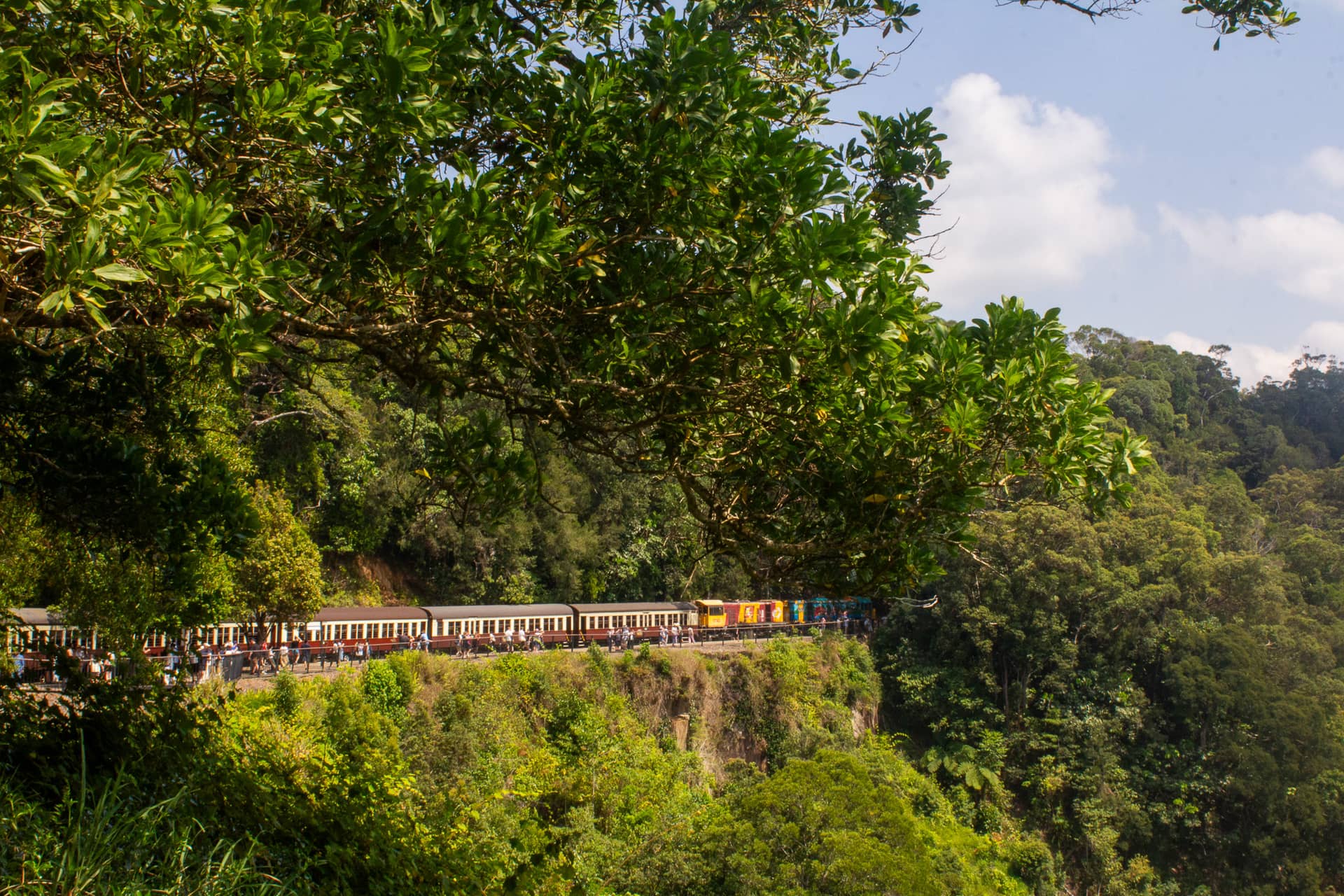Entdeckungstour Kuranda: durch den Regenwald und mit Aborigines